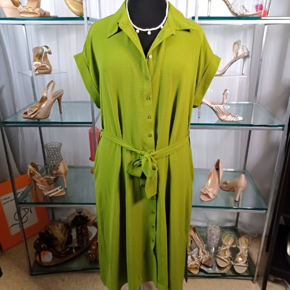 Button-Front Tie-Waist Maxi Dress in Lime Green - Picture 3 of 15
